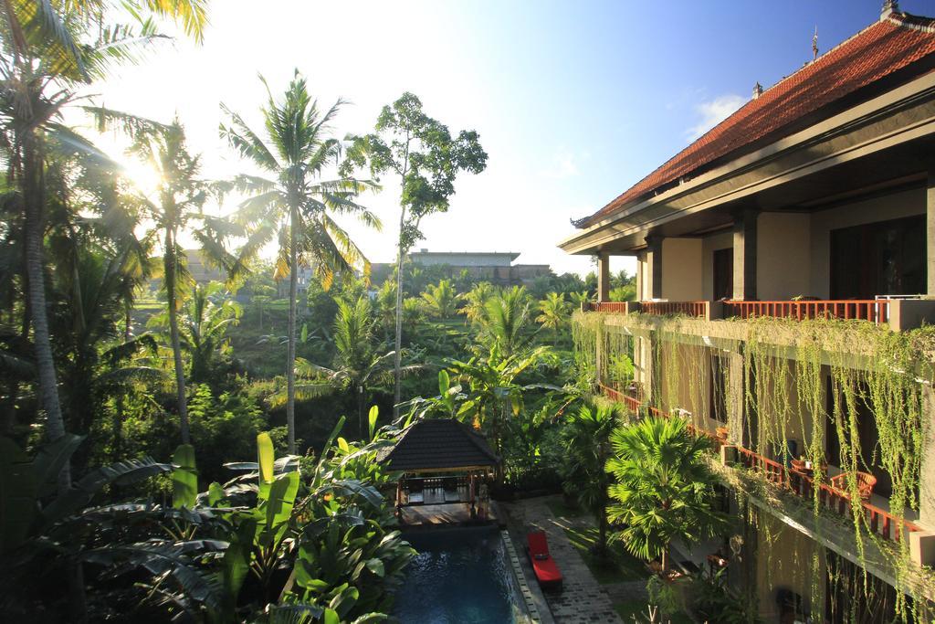 Alam Terrace Cottages Ubud Zewnętrze zdjęcie