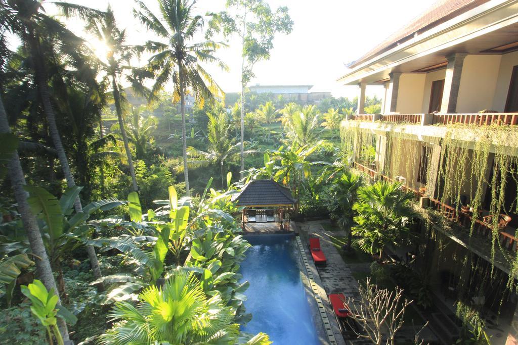 Alam Terrace Cottages Ubud Zewnętrze zdjęcie